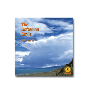 CD - The softening smile